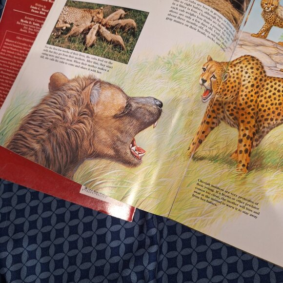 zoobooks - Picture 8 of 8